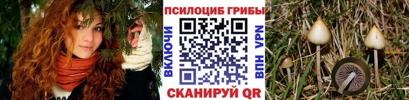 Псилоцибиновые грибы MAGIC MUSHROOMS  Сунжа 